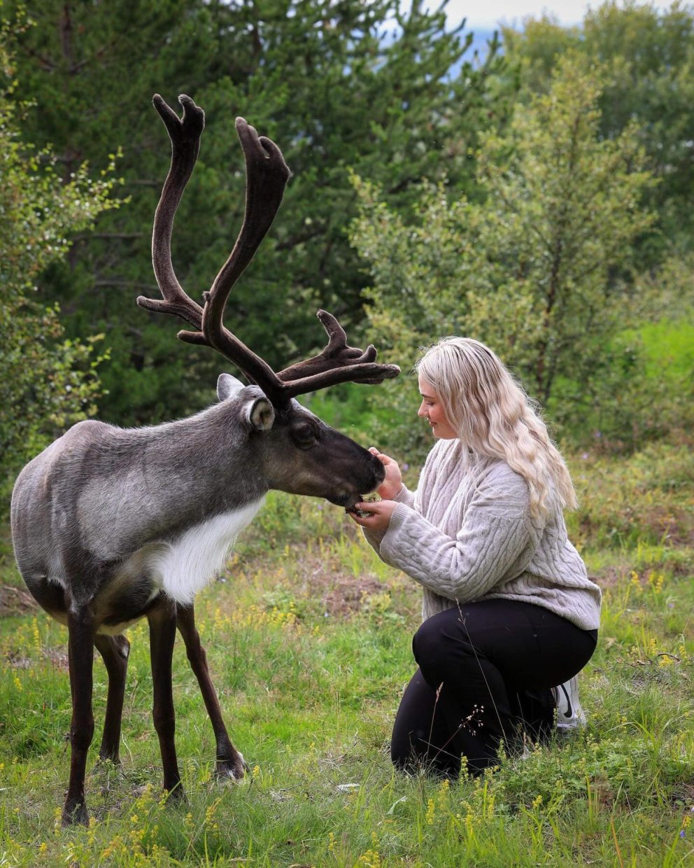 Reindeer Park