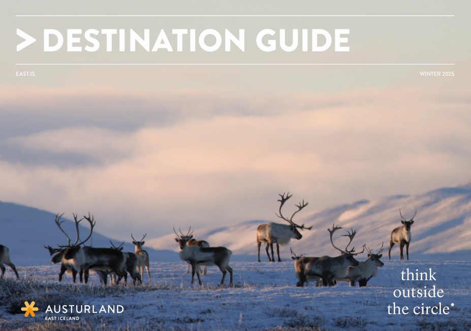 East Iceland Destination Guide Winter