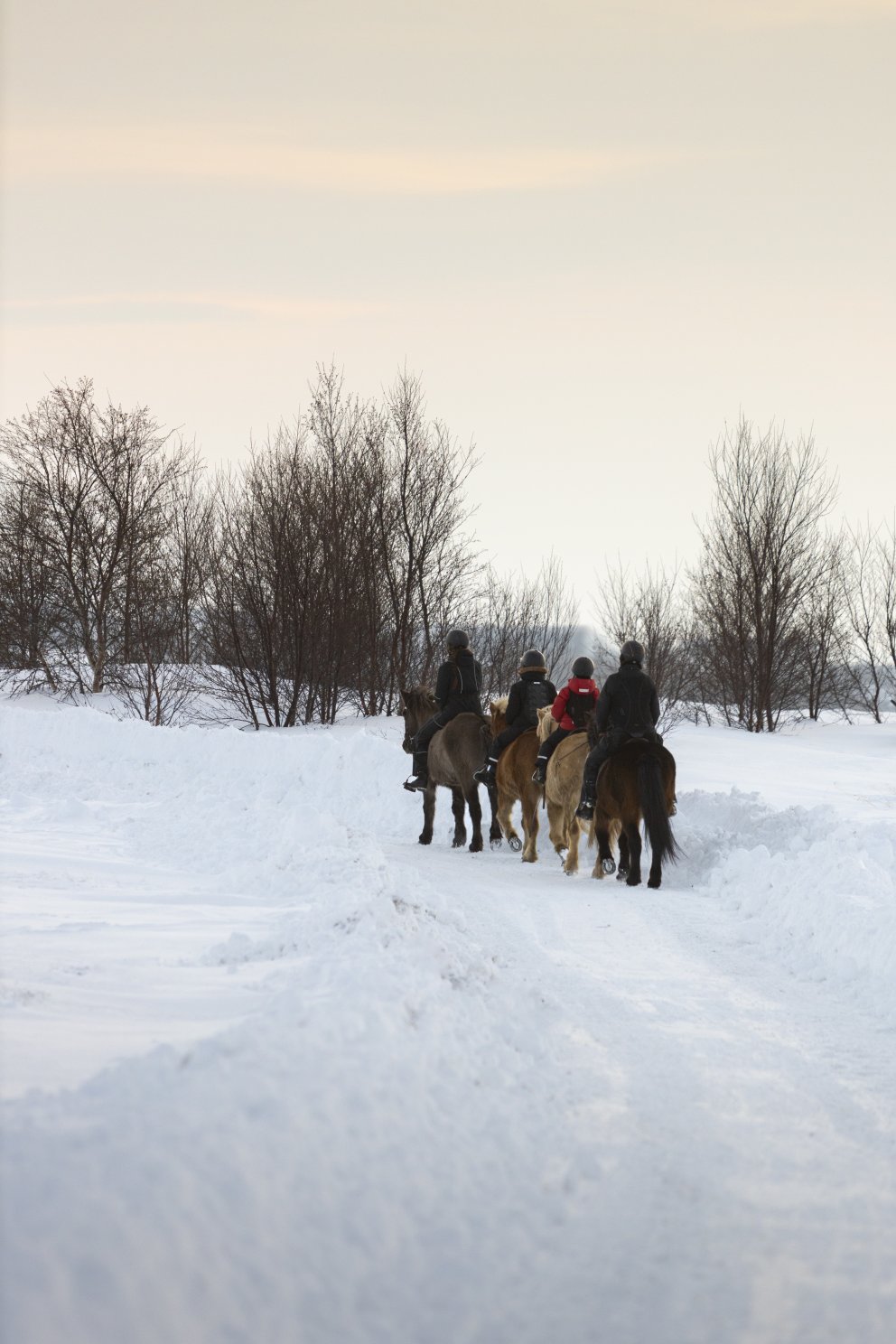 Horseback Riding in East Iceland