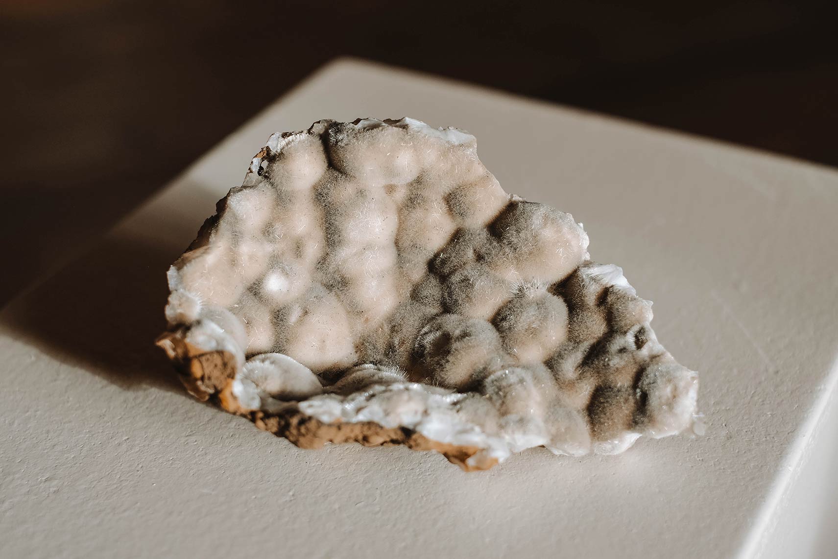 Stone collection in the Museum house in Neskaupsstaður Stone collection in the Museum house in Neskaupsstaður