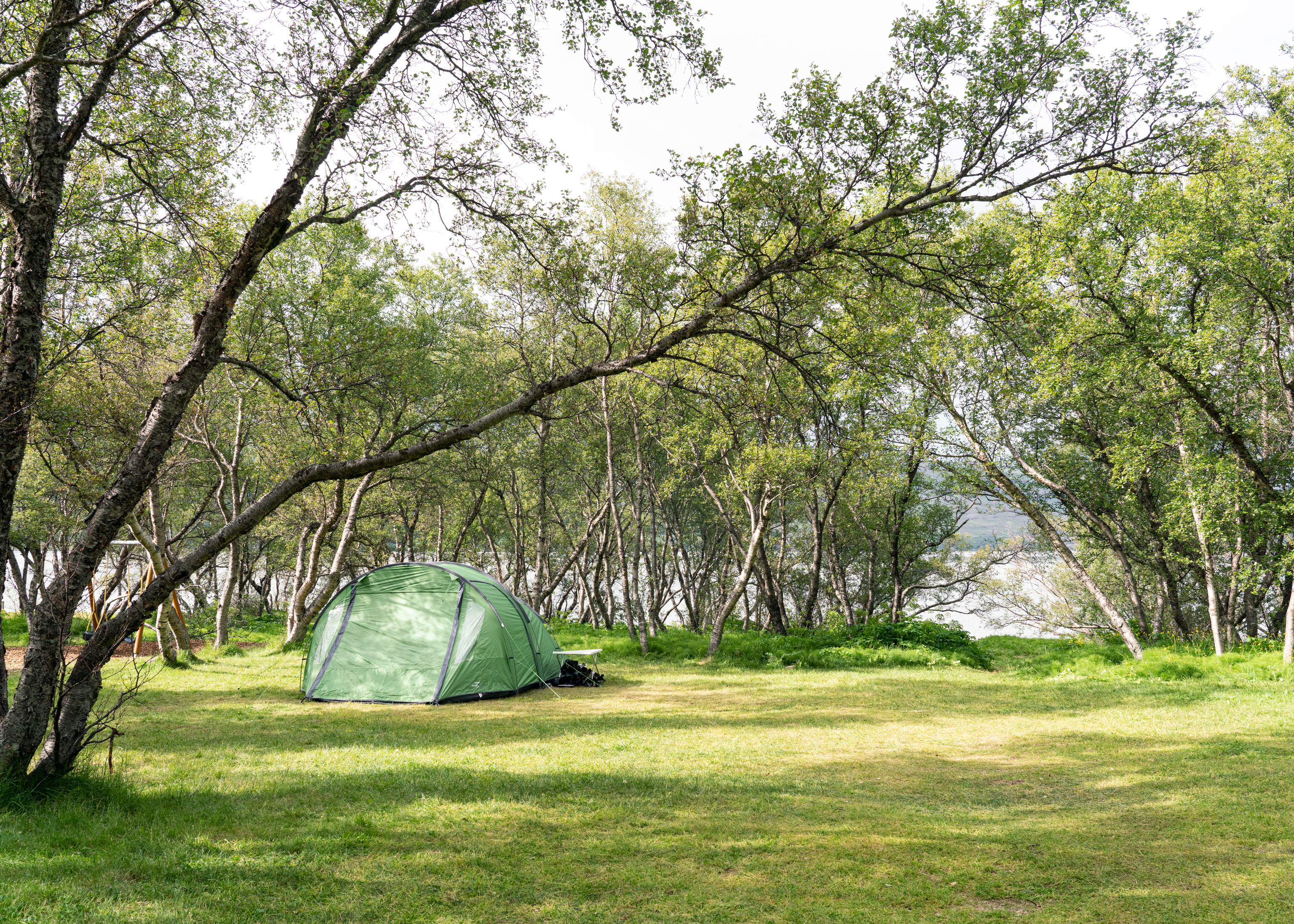 Tent 