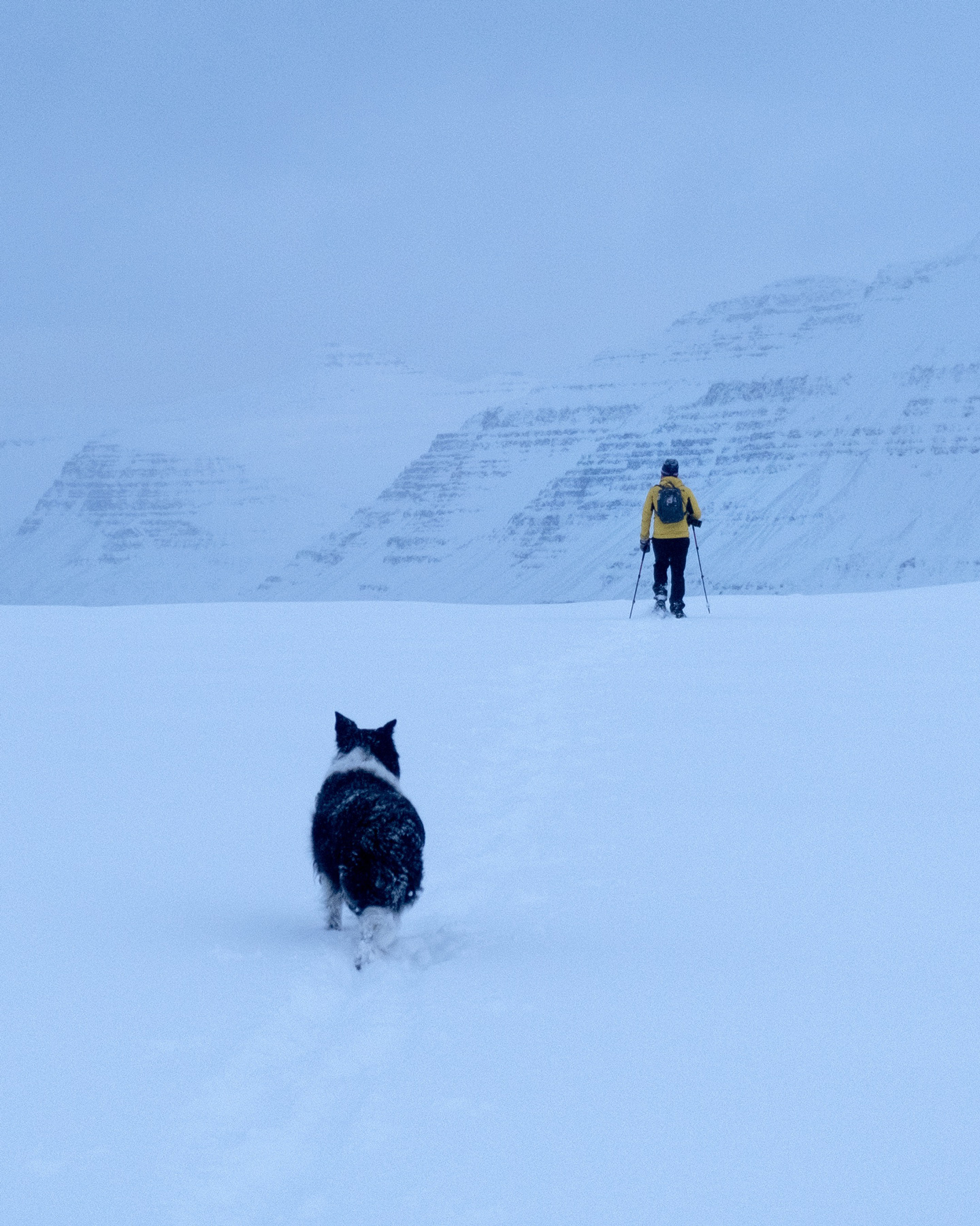 Man hiking on snowshoes with his dog in Vestdalur in Seyðisfjörður