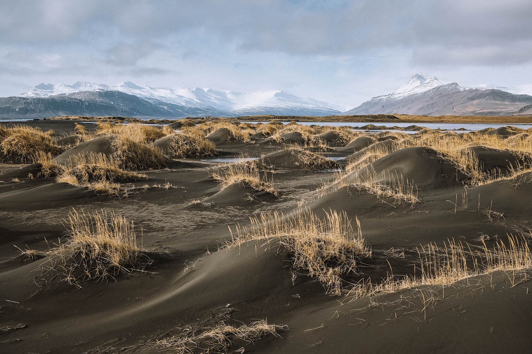The black sands near Djúpivogur