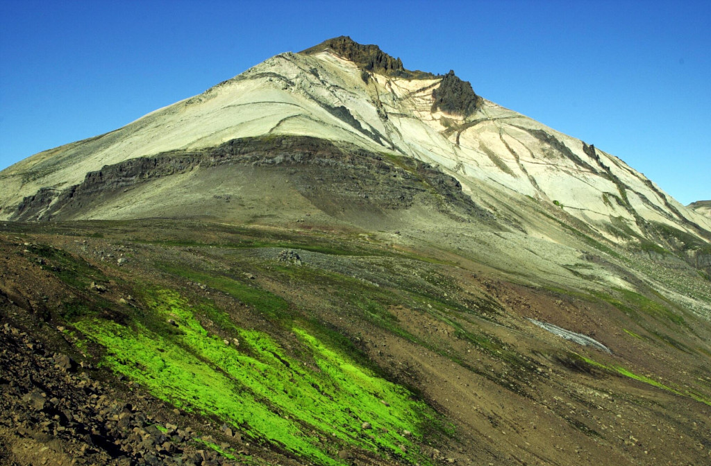 Hvítserkur