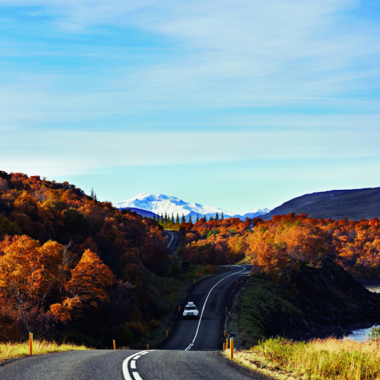 ari-magg-hallormsstadaskogur-og-snaefell