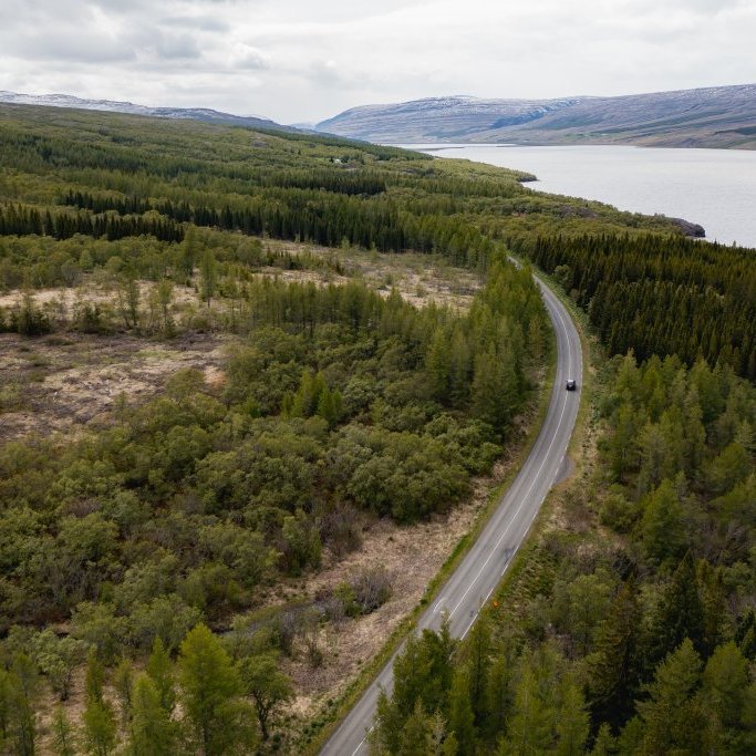 icelandic_explorer_lagarfljot_dji_0022.jpg