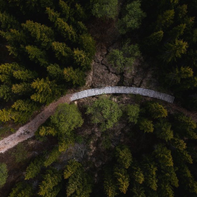 icelandicexplorer_hallormsstadaskogur_dji_0068.jpg