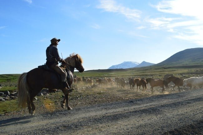 Horseback riding