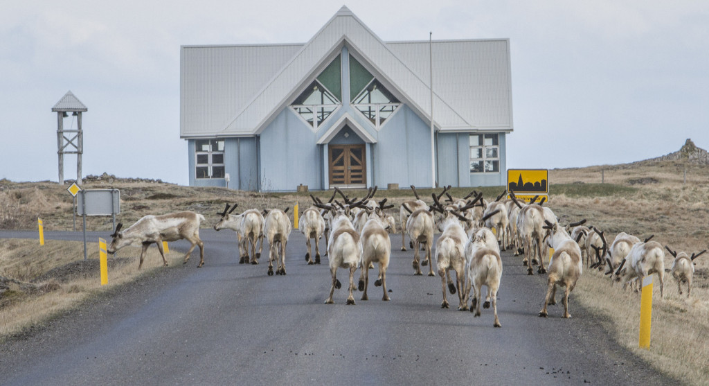 Blocking the road