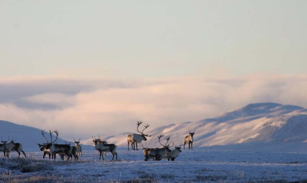 Photographer: Skarphéðinn G. Þórisson