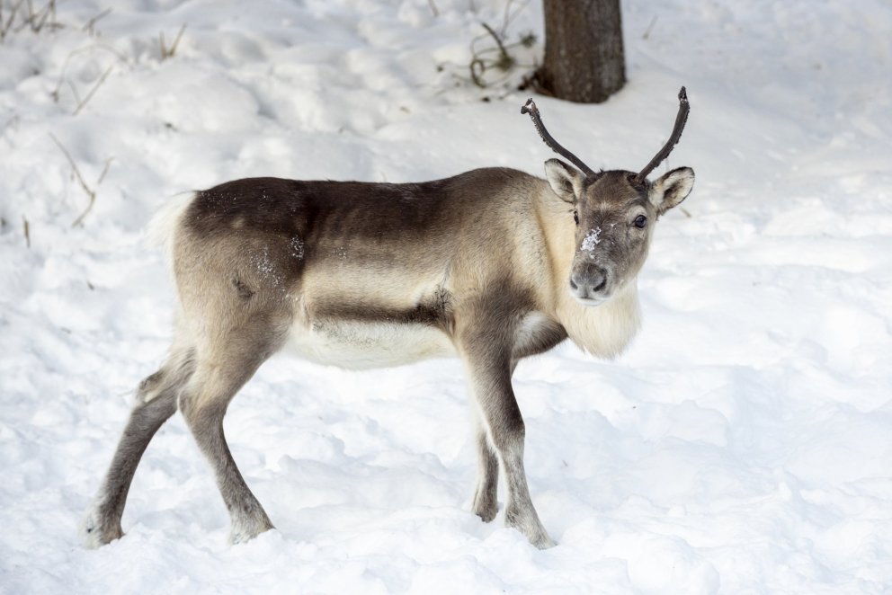Photographer: Ragnhildur Aðalsteinsdóttir