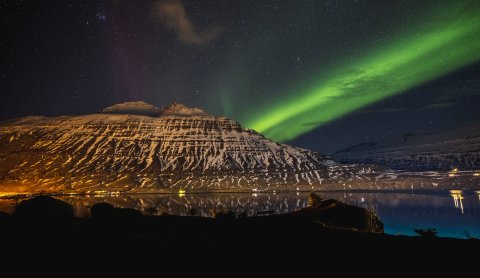 Photographer: Gunnar Freyr Gunnarsson