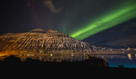 Photographer: Gunnar Freyr Gunnarsson