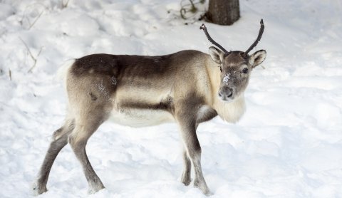Photographer: Ragnhildur Aðalsteinsdóttir