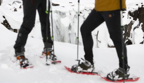 Photographer: Ragnhildur Aðalsteinsdóttir 