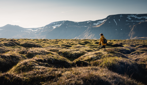 Photographer: Þráinn Kolbeinsson